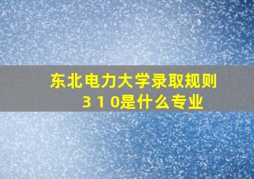 东北电力大学录取规则3 1 0是什么专业